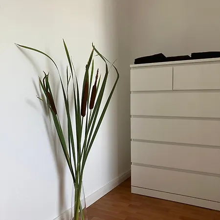 Wohnen Auf Zeit 招待所 维特利希